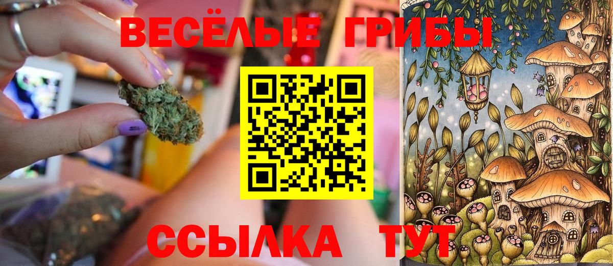 Псилоцибиновые грибы мухоморы  Вход с VPN  Нурлат 