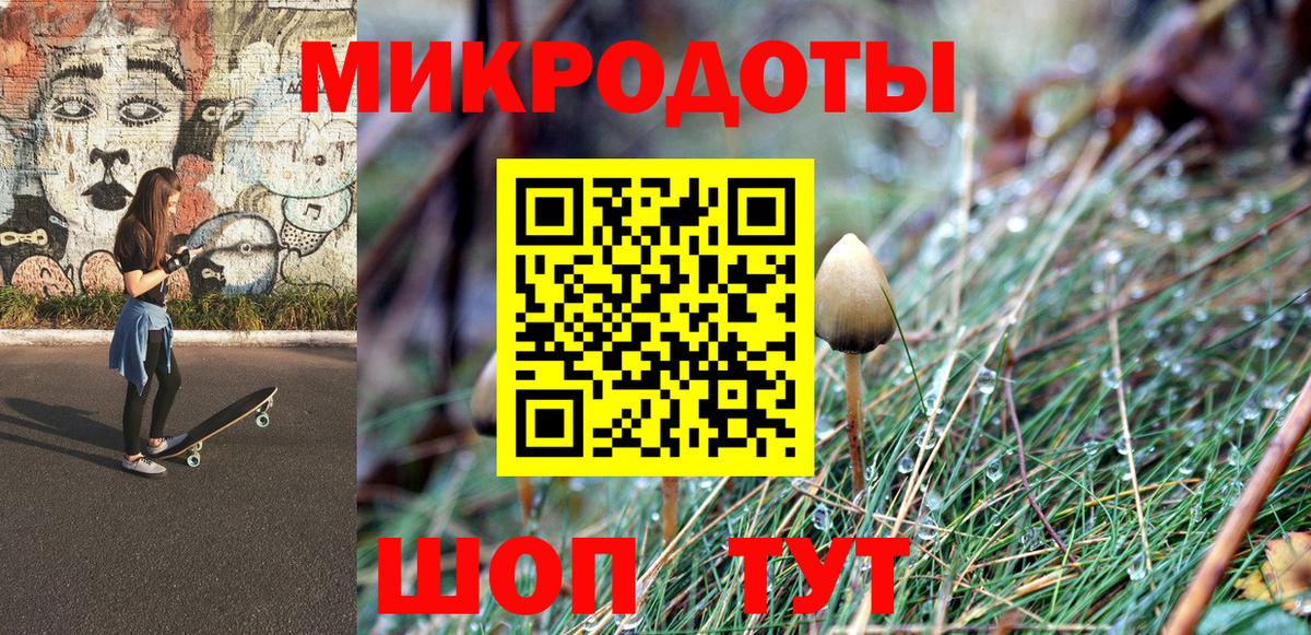 Псилоцибиновые грибы Psilocybe Нурлат