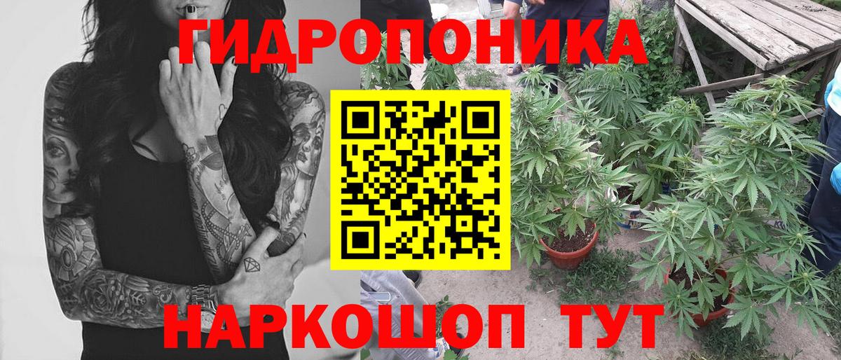 Шишки марихуана семена Нурлат